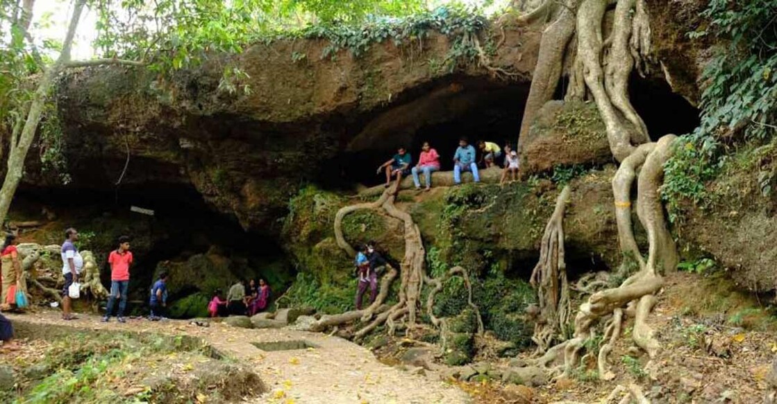 Magical, giant trees and fountains: Kochi's secret cave sanctuary