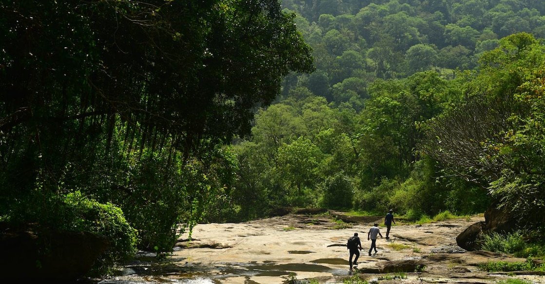 An eerie silence envelops the verdant forest that is dotted by steep climbs. Photo: Manorama/Reju Arnold