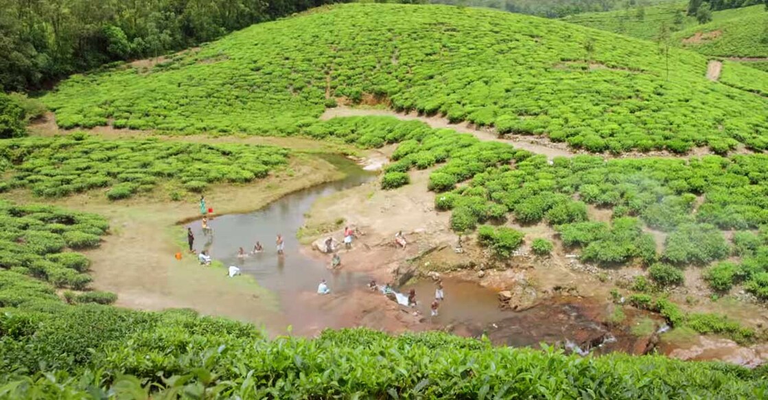 A screengrab from the movie Charlie which shows the Teppakulam pond.