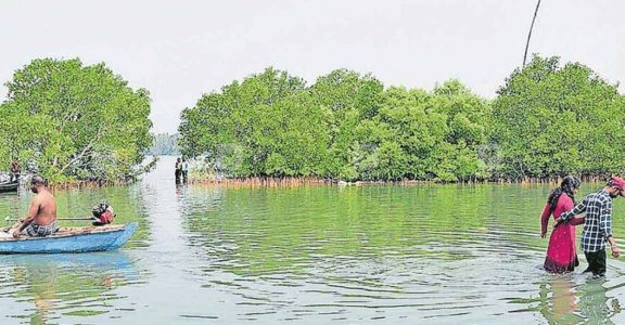 Tourists flocking to Sambranikodi in Kollam; the isle to get a revamp