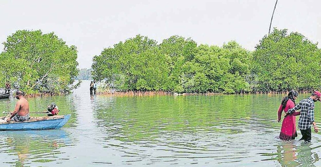 Sambranikodi. Photo: Manorama