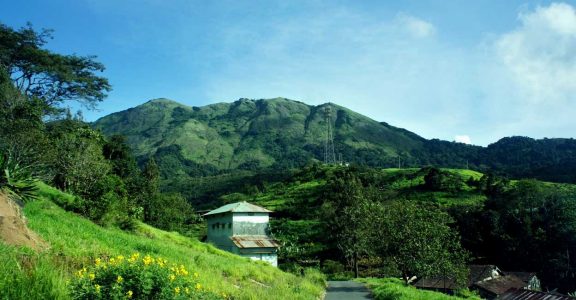 Palakkad’s Nelliyampathy is a nature’s gem not to be missed 