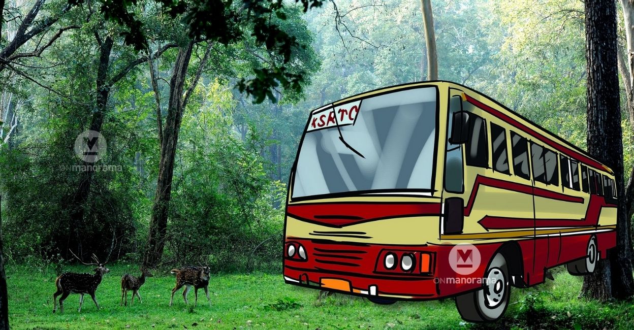 Experience a serene trip through Parambikulam Tiger Reserve on budget with KSRTC