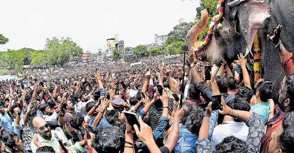 thrissur-pooram-2022
