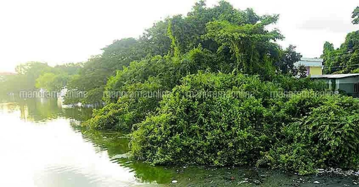 Asramam is Kerala's only biodiversity heritage site