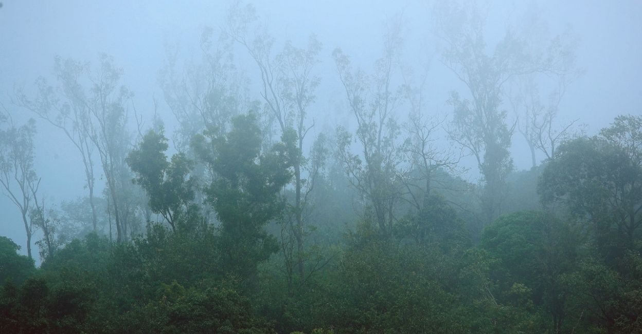 Mist Mist