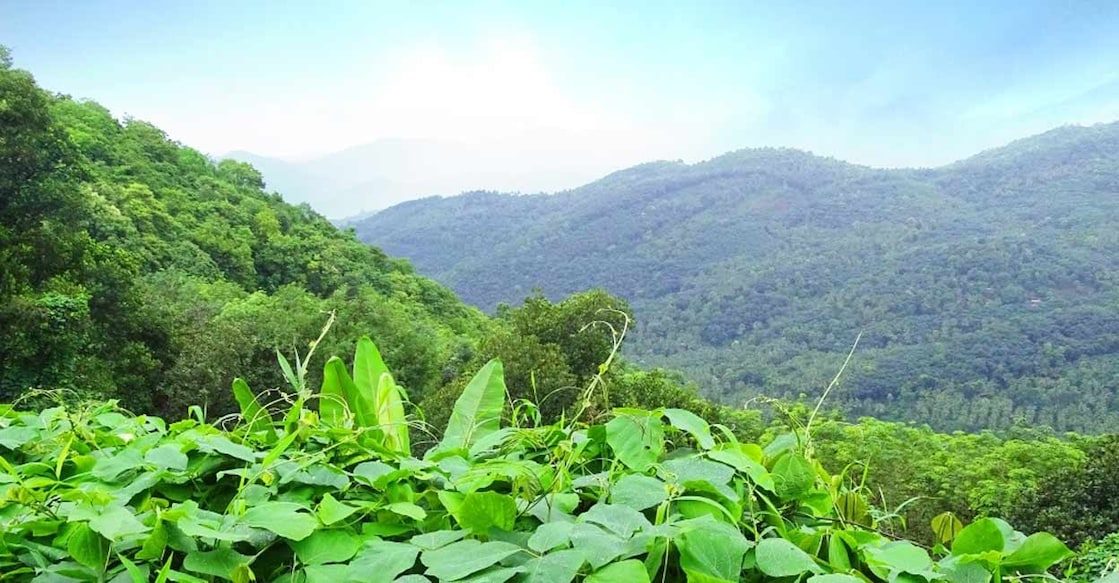 Malom, which is part of the Western Ghats, in Kasaragod district. Photo: Kerala Tourism