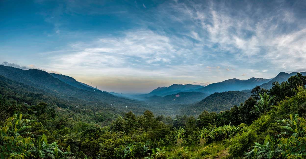 Wayanad landslide: Here's what Mundakkai looked like before the tragedy ...