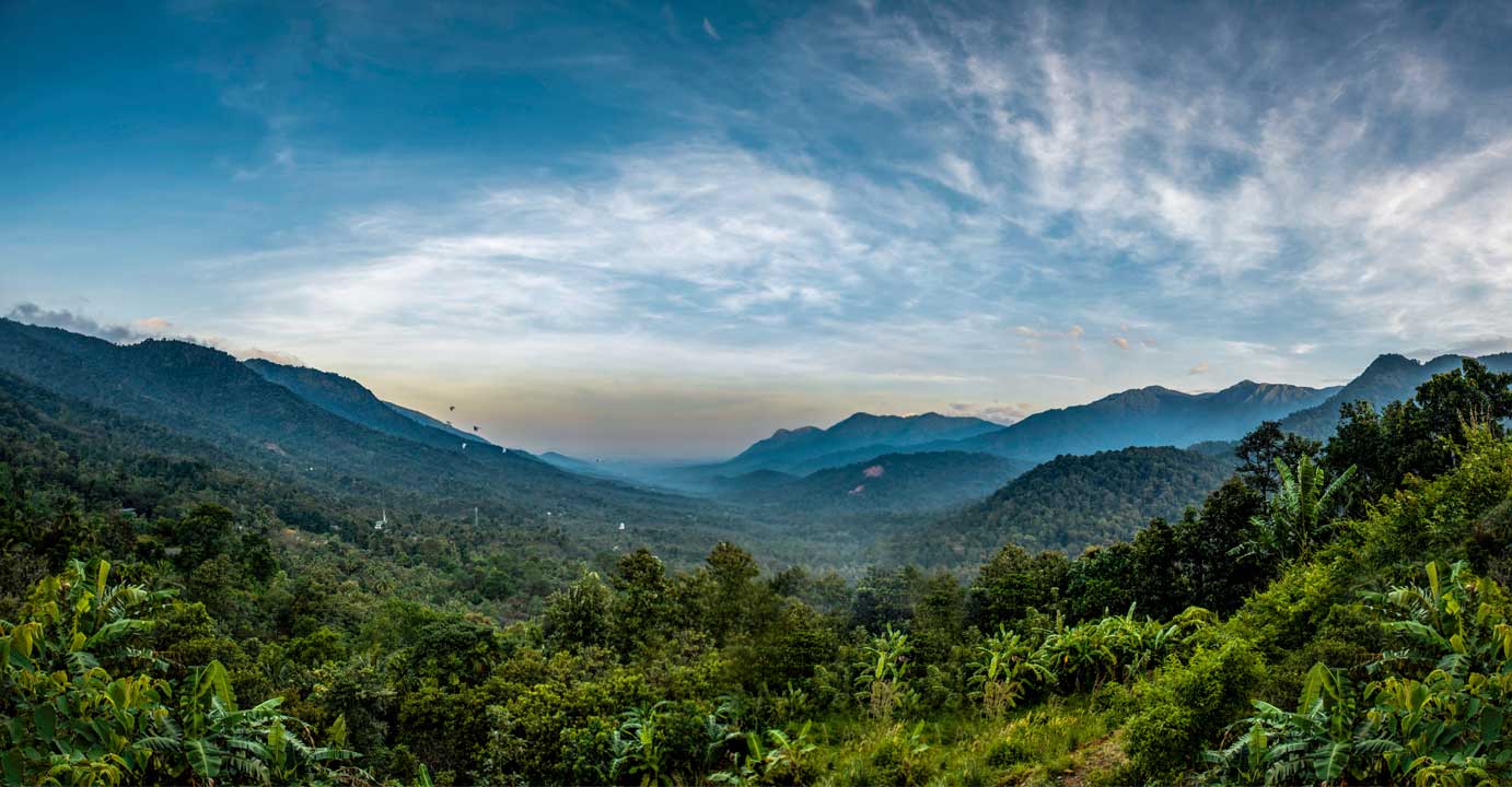 Photo: Shutterstock/Sarath maroli