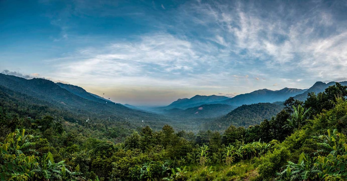 Photo: Shutterstock/Sarath maroli