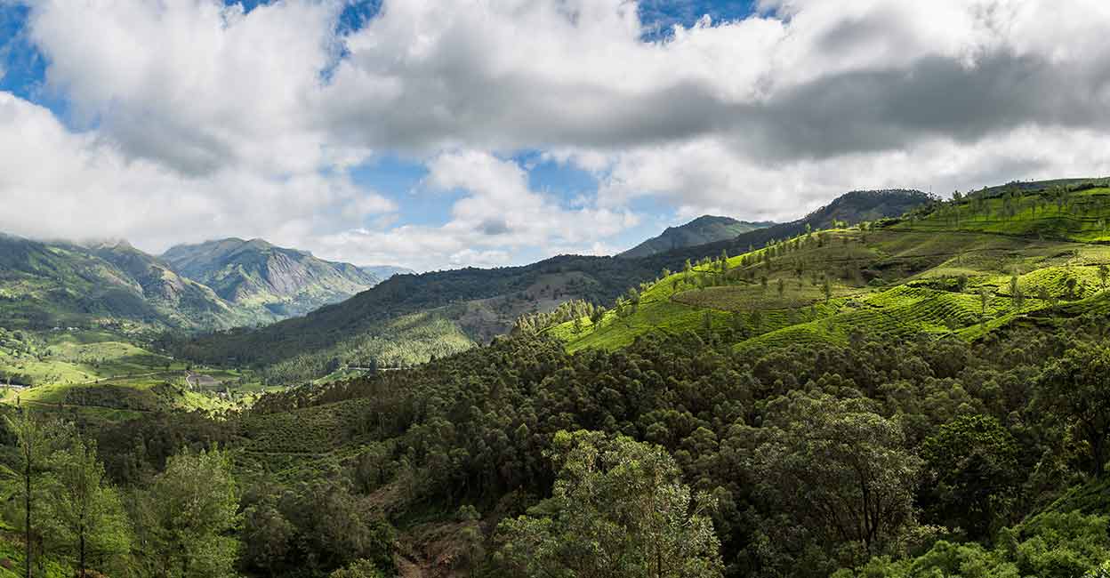 Marayur. Photo: Shutterstock/Manu M Nair