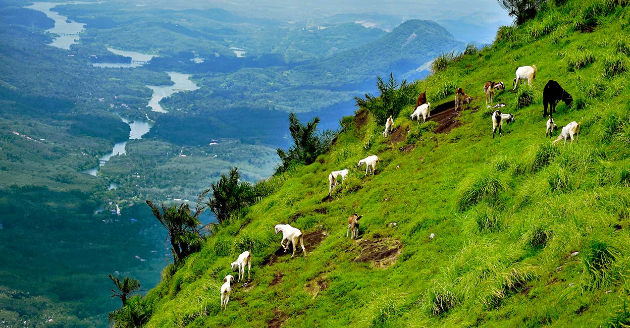 road-trip1 Photo: Shutterstock/Sharon Vijay