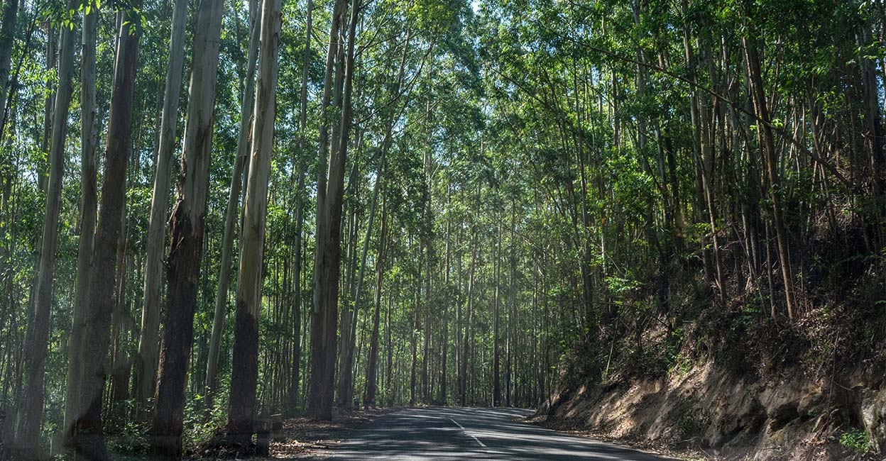 road-trip4 Photo: Shutterstock/ Libin Kallada Photography