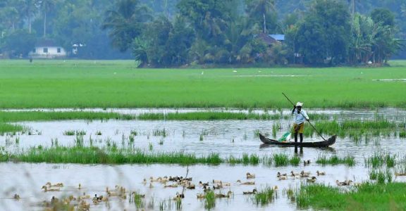 Plastic Boats at Rs 65000/piece, Plastic Boat in Bengaluru