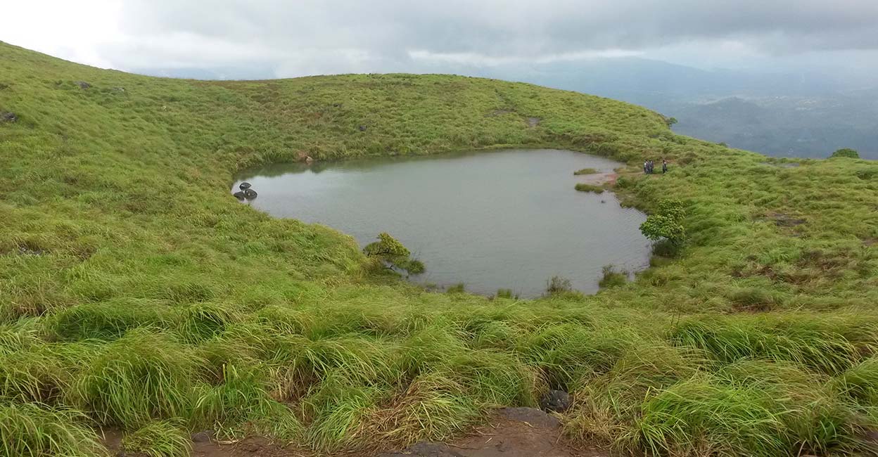 Chembra peak is Wayanad's highest point at an altitude of 2100 metres above sea level. Photo: Shutterstock/Geethika K