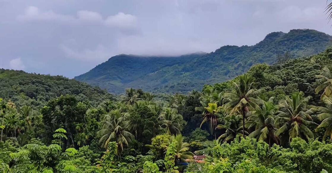 A two-hour drive from Kasaragod or Kanhangad will take you to Ranipuram and make it a point to start the journey just before or at the break of dawn. Photo: Rajesh A