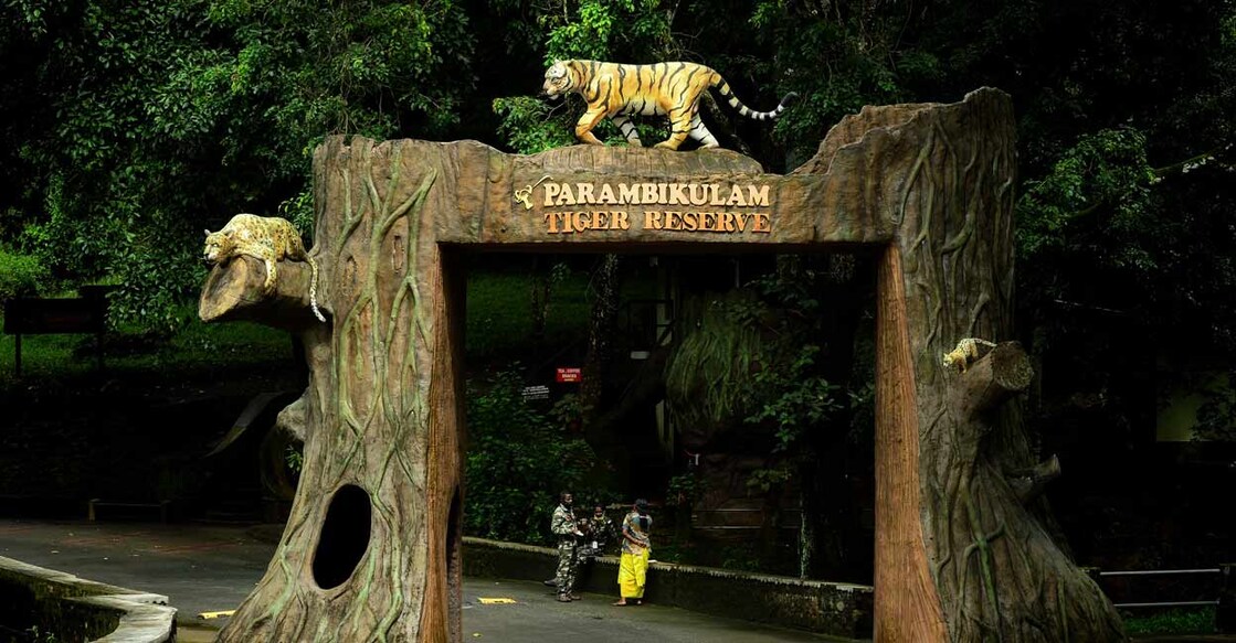 The safari at Parambikulam Tiger Reserve begins at 8 am and closes in the evening. It lasts for three and a half hours. Photo: Manorama