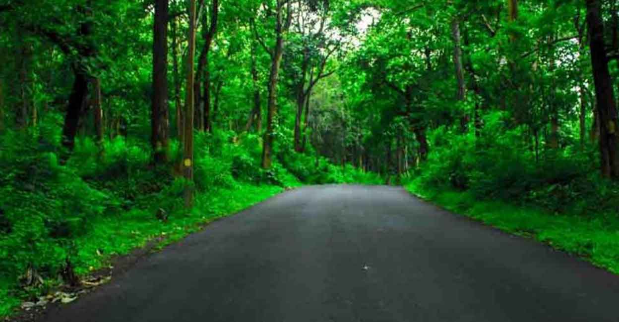 Like the superhit tour programme to Gavi, the KSRTC offers budget tour packages to most of the popular tourist destinations of the state. Photo: Manorama