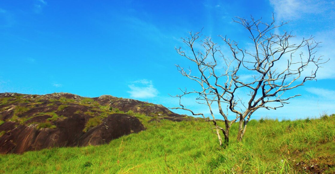 You could reach the Rosemala village by travelling off road for 12 kilometres through the Shenduruny wild life sanctuary from Aryankavu. Photo: Shutterstock/Deepu Balan