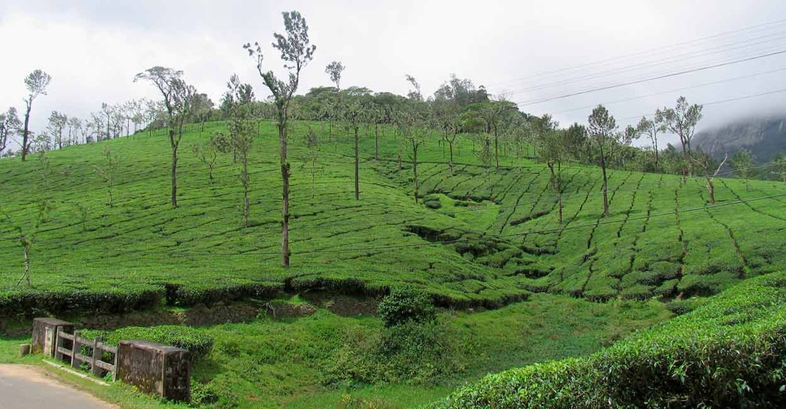 Nelliyampathy is dotted with awesome waterfalls during the rainy season. Photo: Representation image/iStock/ePhotocorp