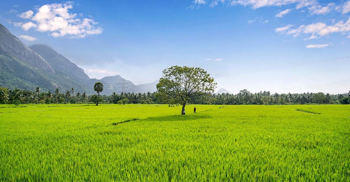 The page had listed ten of the most beautiful villages in India. Photo: Shutterstock/Anoop K S