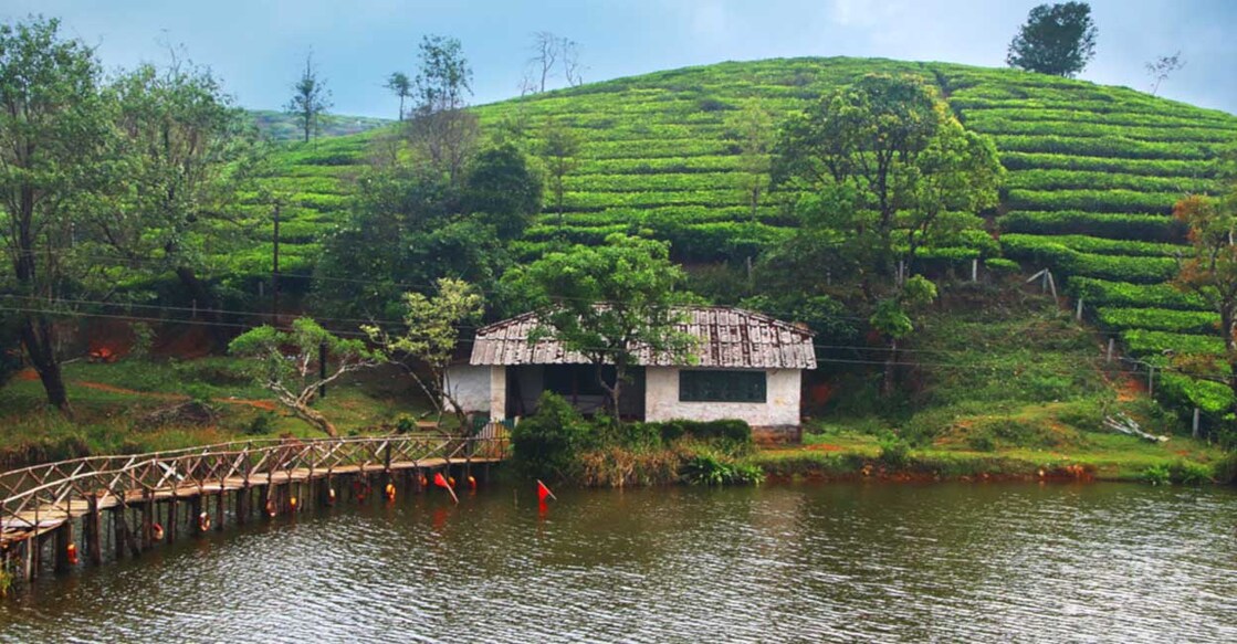Many spots in Idukki can be trecherous if tourists are not cautious enough. Representative image/Shutterstock/CHE SURJITH