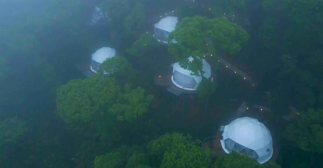 Willmount Geodesic Domes are nestled amid a huge cardamom plantation in the mist-enveloped hill in Elappara town. Photo: Special Arrangement