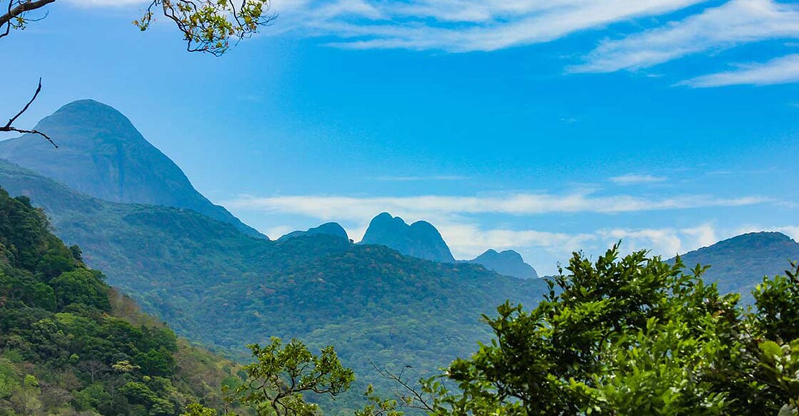 The Agasthyarkoodam Peak which is part of the Agasthyamala Biosphere has been added to UNESCO’s list of ‘World Network of Biosphere Reserves’.  Photo: Shutterstock/Jagannathan Narayanan