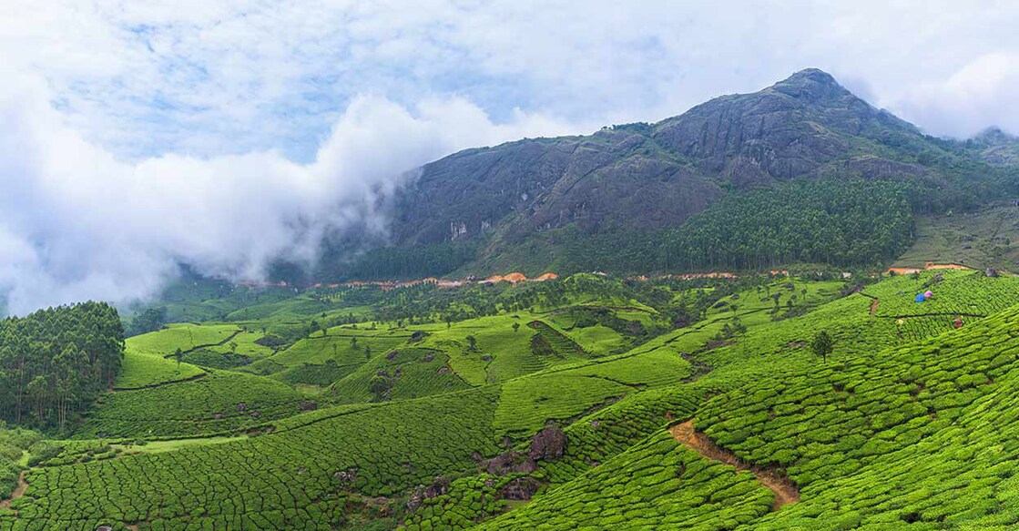 Munnar's Chenduvarai Estate had the lowest temperature of the year at 6 degrees Celsius. In Munnar, it was 13 degrees. Photo: iStock/yotrak