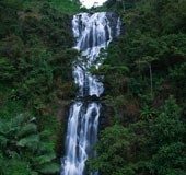 Kappimala waterfalls: Check out this enchanting falls in Kannur this weekend