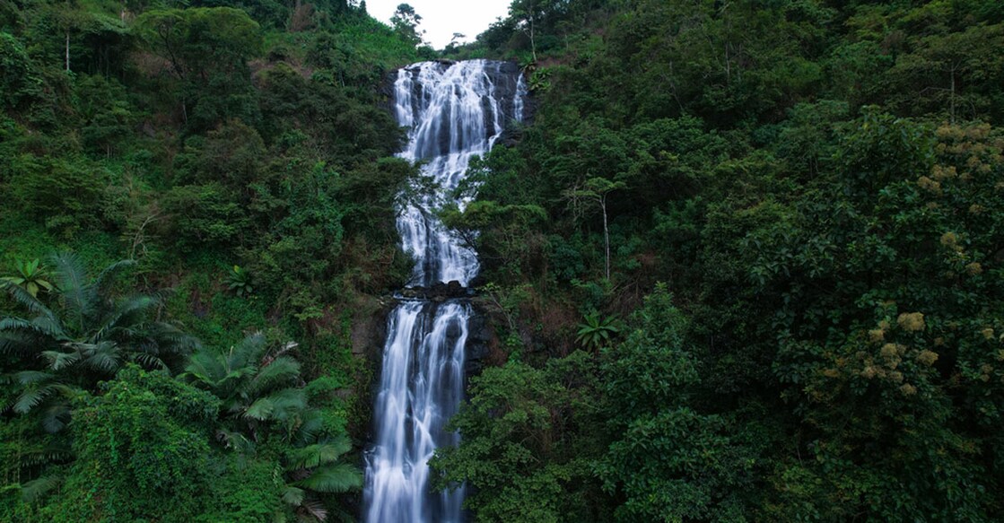 Kappimala Falls, which is in a green and rustic Alakkode, originates in the nearby Paithalmala. Photo: Instagram/@KeralaTourism
