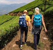 Hotel bookings dip in Munnar: What's affecting the hill station's tourism?