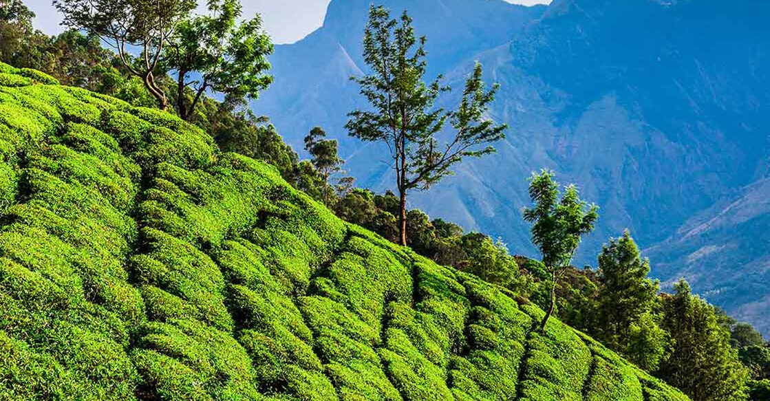 Guests could book rooms at this price only at the hotels and cottages owned by the association members. Representative image/Shutterstock/turtix