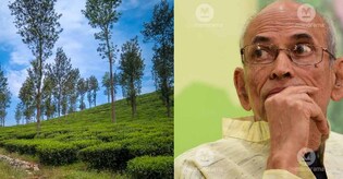 Wayanad landslide: What did Madhav Gadgil say about Chooralmala and Mundakkai?