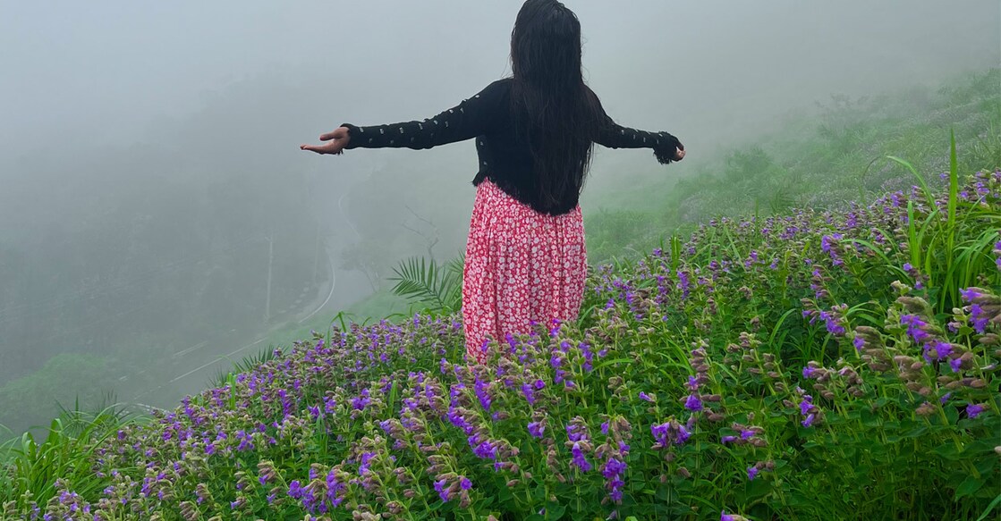 This year,  Neelakurinji has bloomed in the Parunthumpara area of Peermade in Kerala's Idukki district. Photo: Mountain Pirates