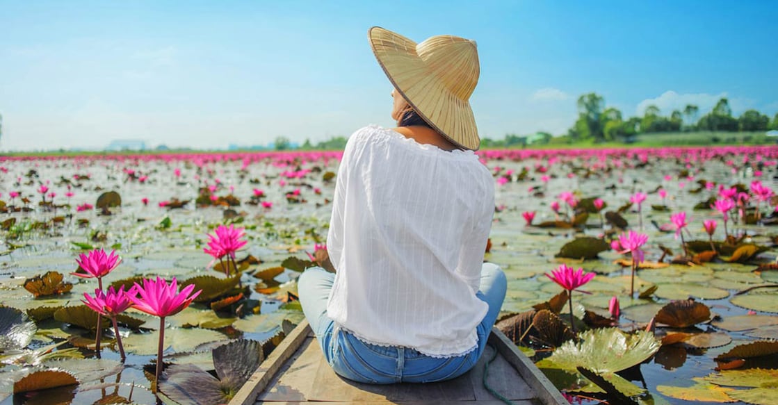 Malarikkal in Kottayam is known for its beautiful pink waterlily fields. Photo: IStock/   ohishiistk