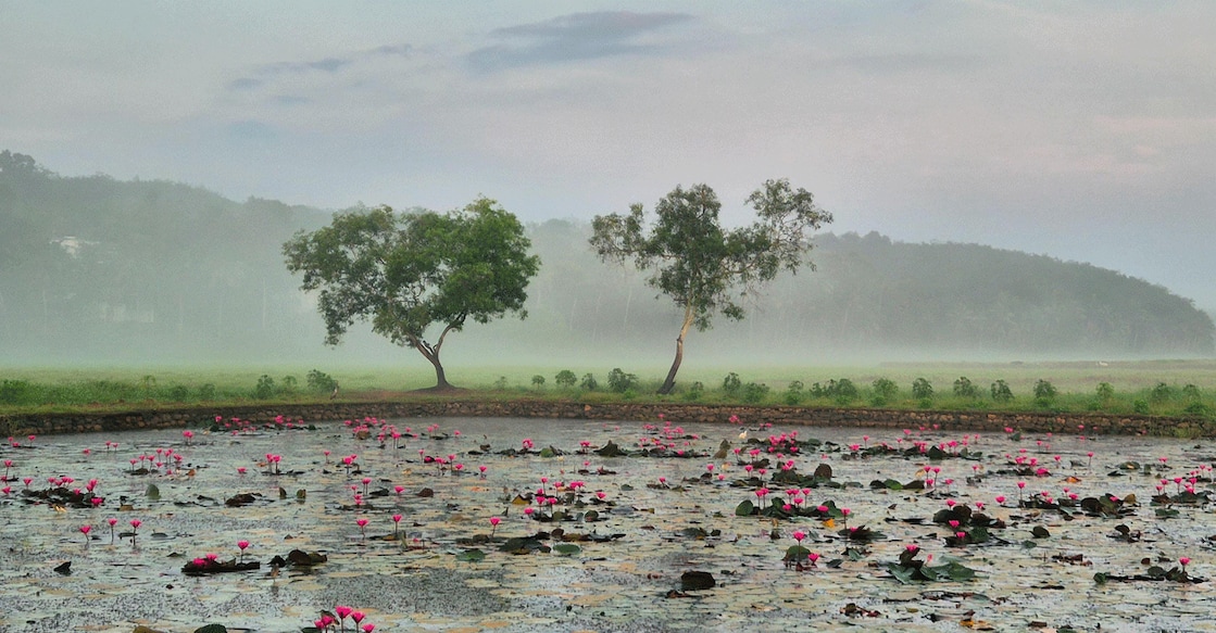 The tiny hamlet of Olippuram near Edakkattuvayal can be spotted on Google Maps as 'Olippuram Ambal Padam.' Photo: Anandajith Baburaj