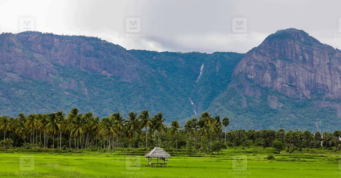 The Palakkad village Kollengode became ‘viral’ two years ago after Anand Mahindra wrote about it on his social media page 2 years ago. Photo: Manorama