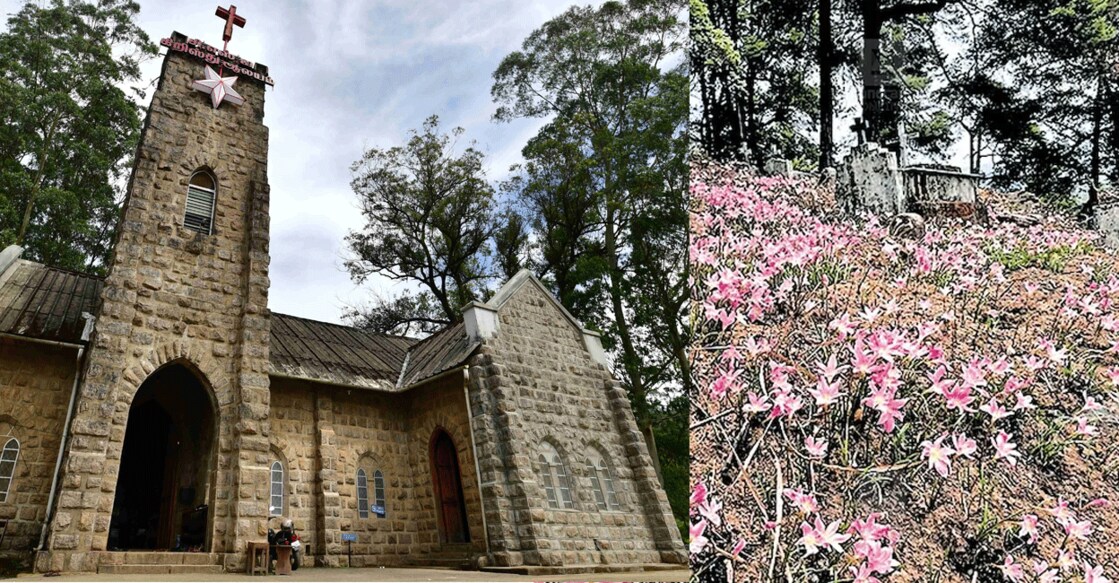 Munnar CSI church (left) and the Easter lilies in the cemetery. Photo: @Reju Arnold/Special Arrangement