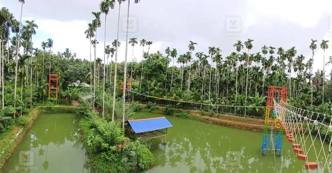 farm-pathayapura Farm Pathayapura has a lot to offer tourists, including fish farming, fruit orchards, organic vegetables and paddy fields, a Miyawaki forest, cottages, zip lines, and a glass bridge, among other attractions. Photo: Manorama