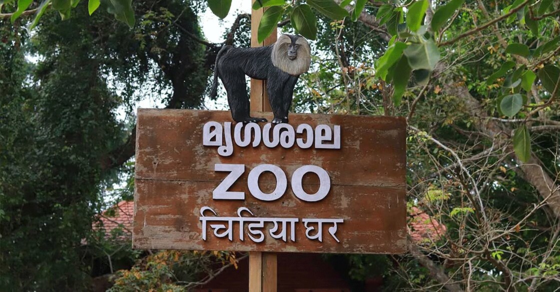 Dr Nikesh Kiran, the zoo's head veterinarian, said that proper facilities have been arranged inside the veterinary centre to give the animals quick treatment in case they suffer from heat strokes. Photo: Facebook/@ajith Krishnan