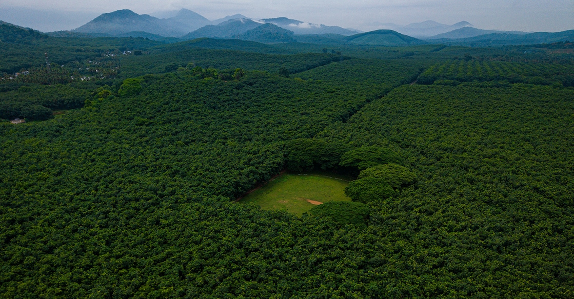 palappally-cricket-ground-kerala Palappally cricket ground. Photo: Special Arrangement/@Sreejith S (notonthemap)