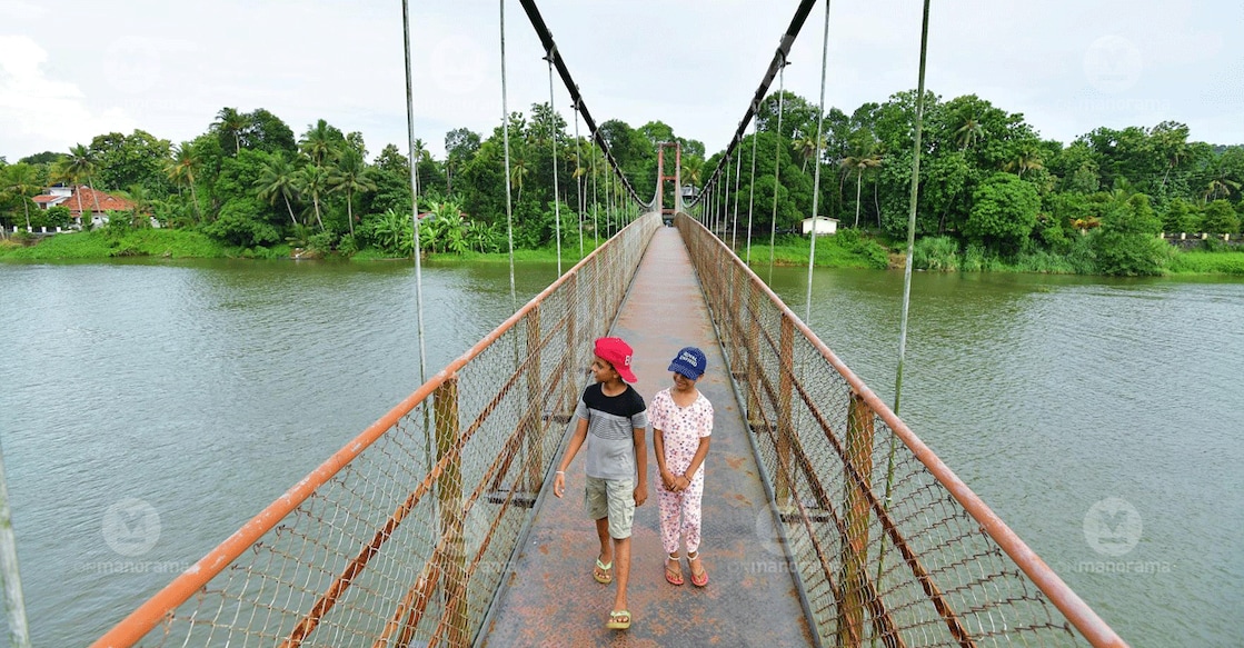 kalamboor-3 The hanging bridge that is 160 metres long and one and a half metres wide has been built across the Muvattupuzha Lake. Photo: Manorama/Jins Micheal