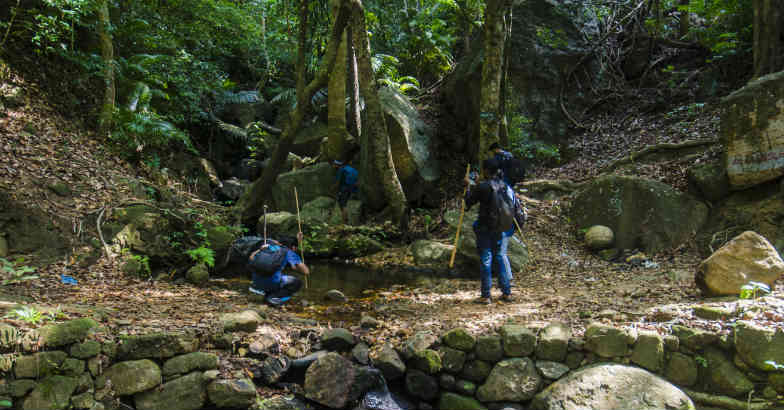 An unforgettable trek to Agastyarkoodam An unforgettable trek to Agastyarkoodam