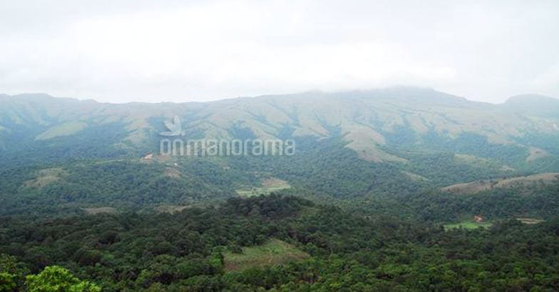 8 Reasons to visit Coorg 8 Reasons to visit Coorg