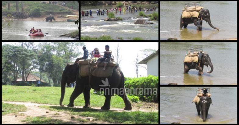 8 reasons to visit Coorg 8 reasons to visit Coorg