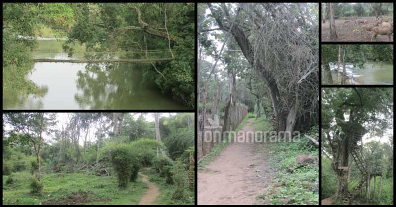 8 reasons to visit Coorg 8 reasons to visit Coorg