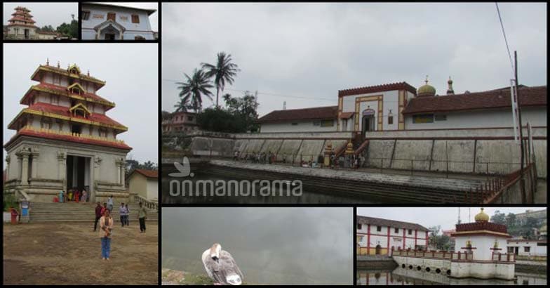 8 reasons to visit Coorg 8 reasons to visit Coorg