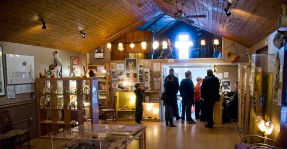 The Icelandic Phallological Museum, Iceland The Icelandic Phallological Museum, Iceland