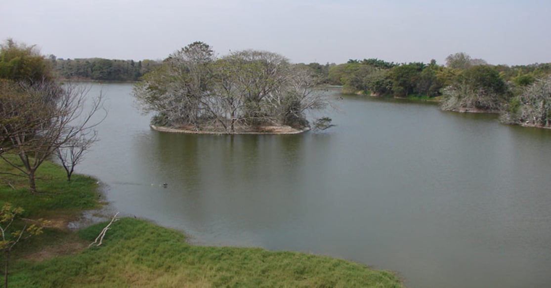 Karanji Lake at Mysore. Photo: Wikipedia